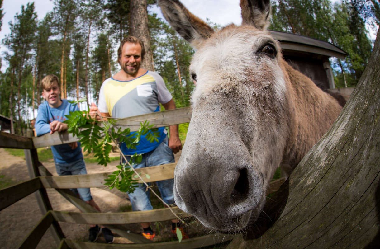 Kesätekemistä Kiteellä! Katso tästä 10 vinkkiä lapsiperheelle