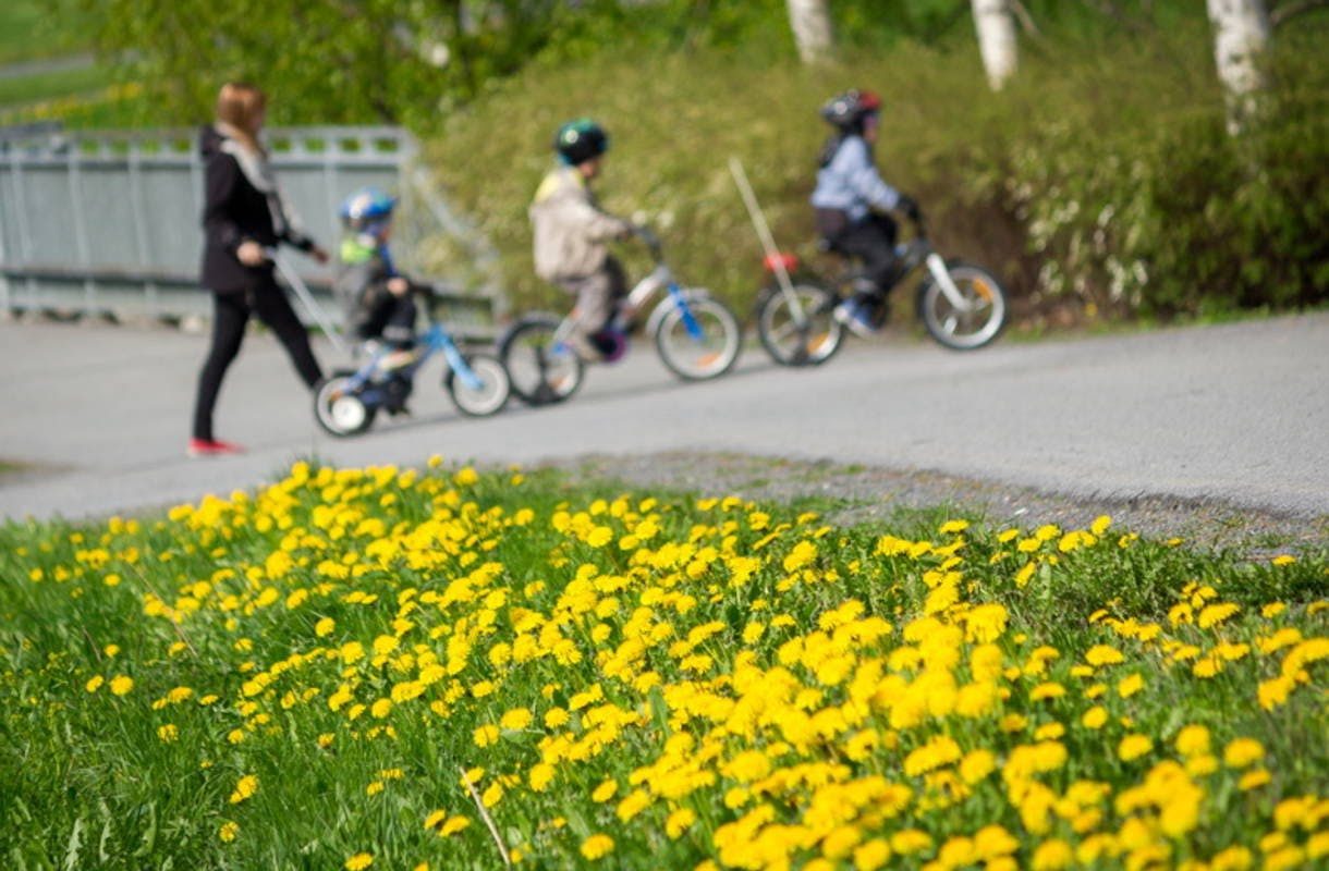 Mitä tehdä lasten kanssa Seinäjoella? Kolme hauskaa kohdetta!