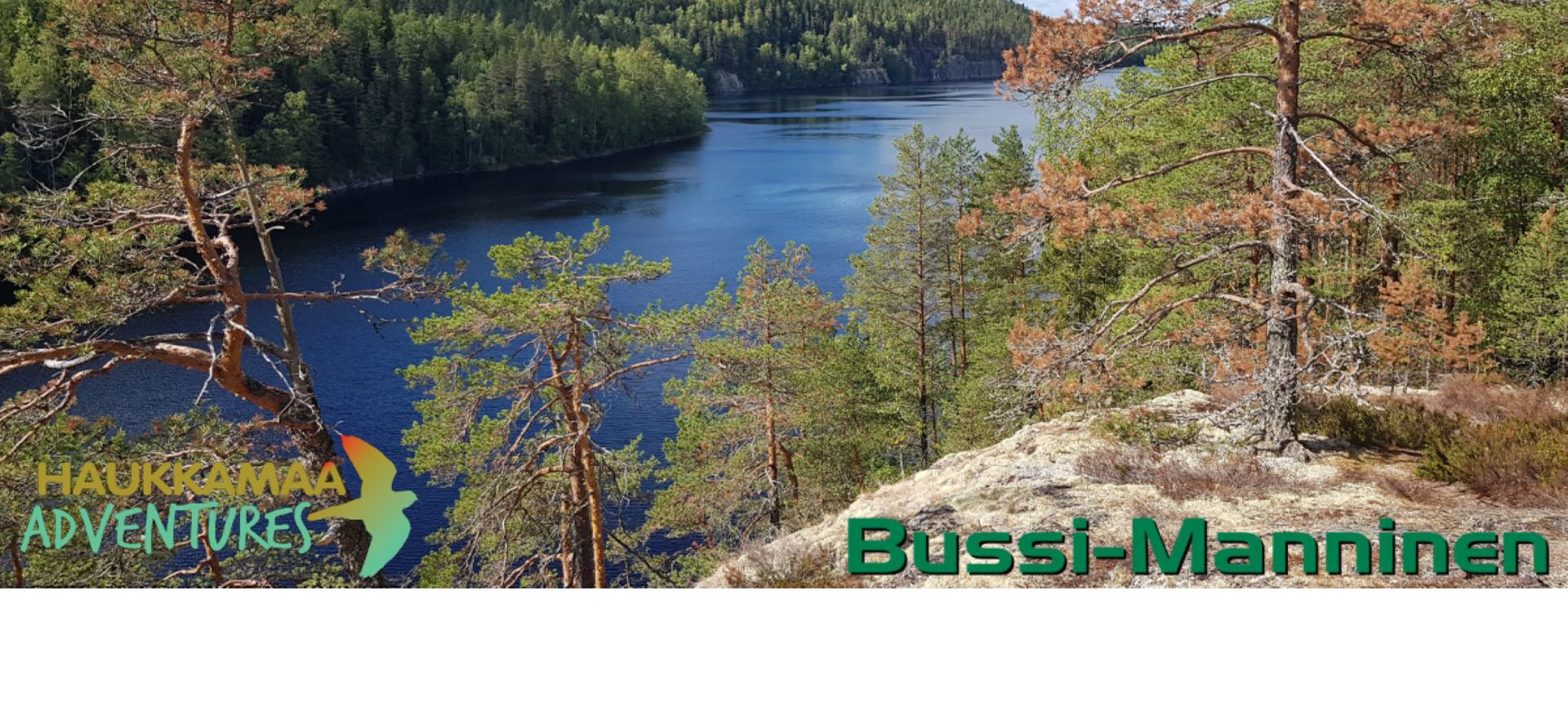 Bussi-Manninen Oy