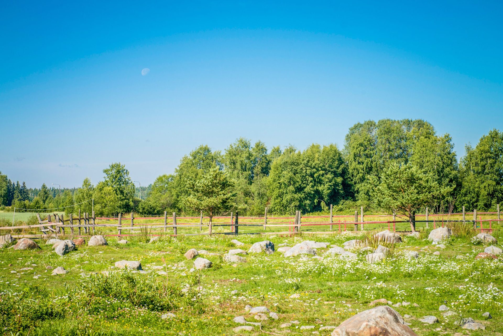 Aholaidan Lammastila