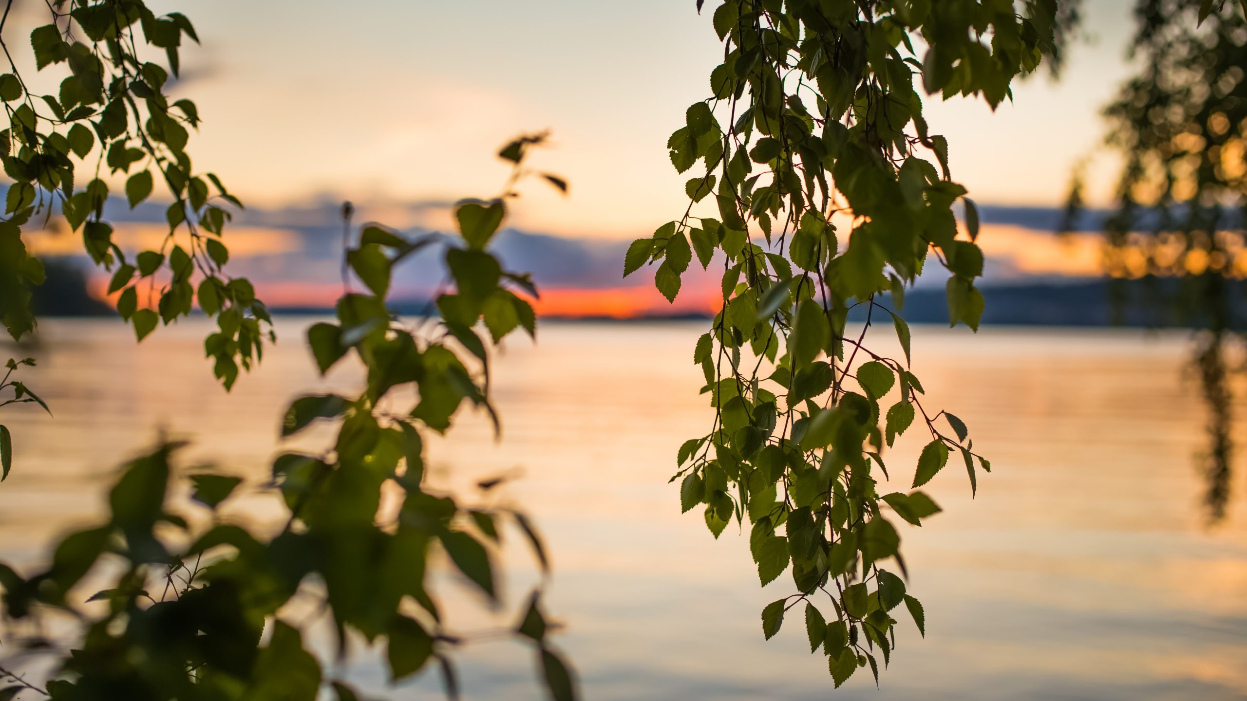 Suolijärven uimaranta