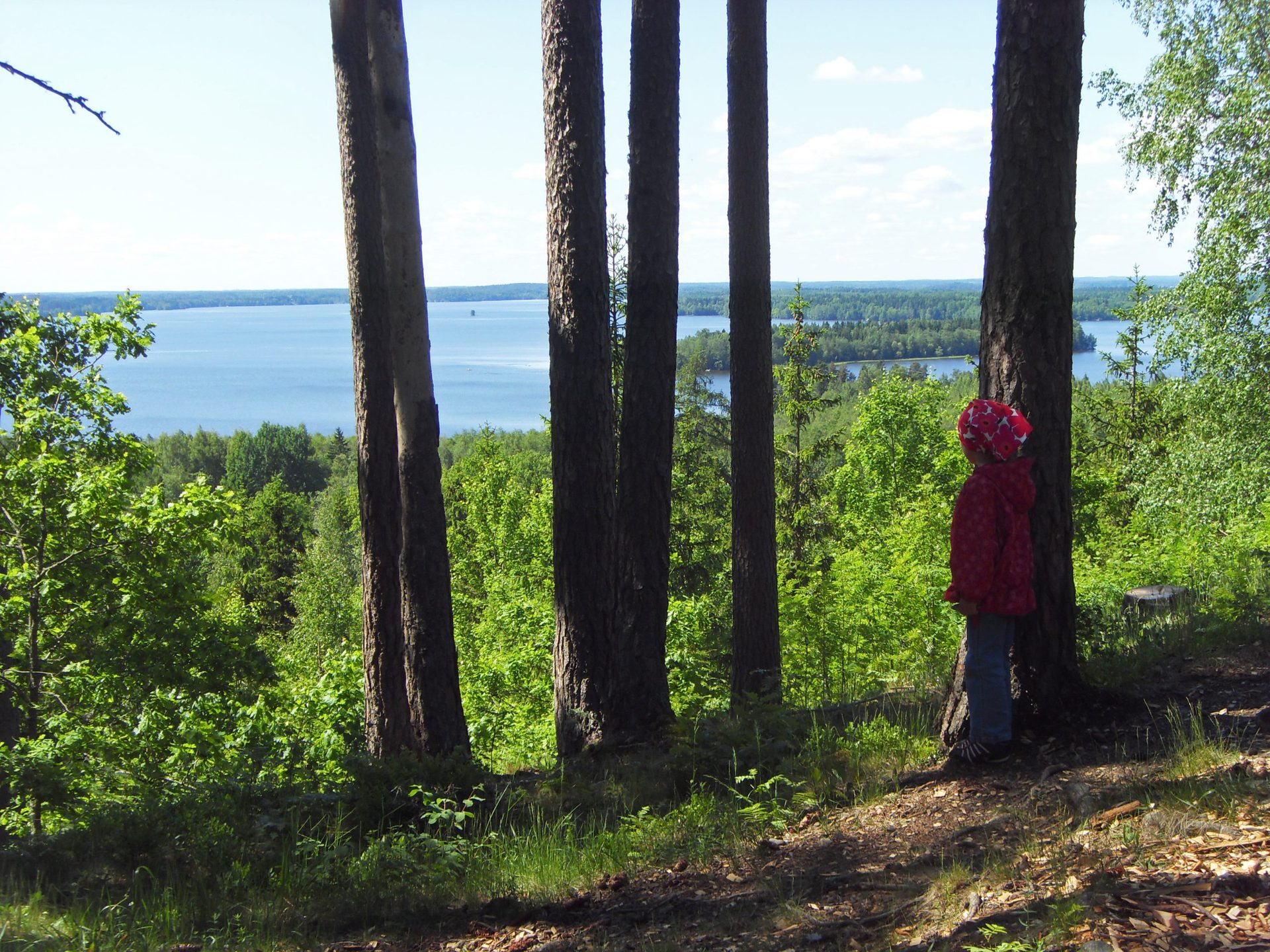 Rapolanharju