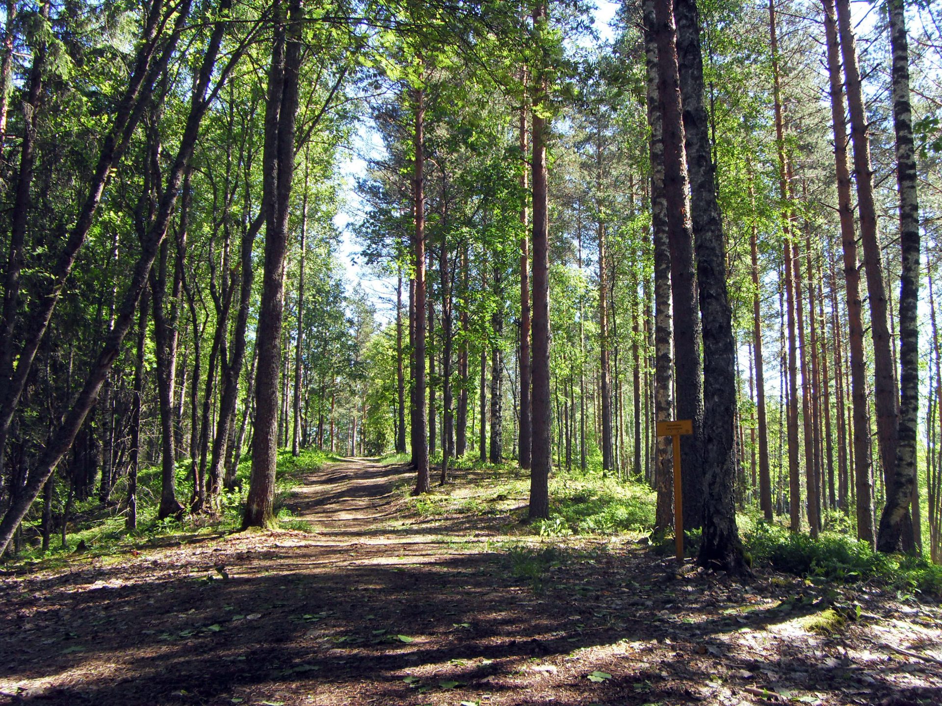 Hervantajärven ja Suolijärven luontopolku