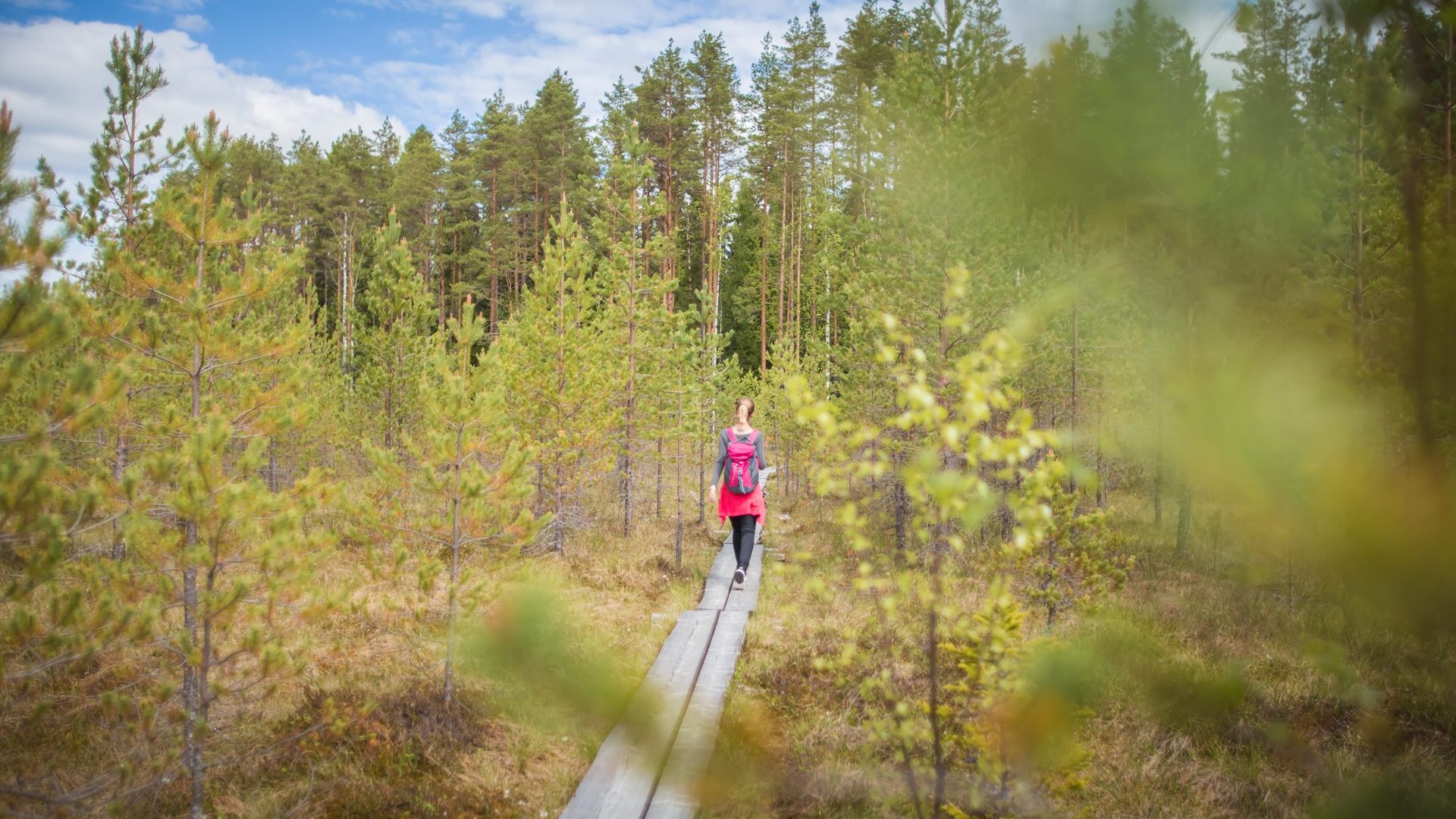 Siikanevan soidensuojelualue