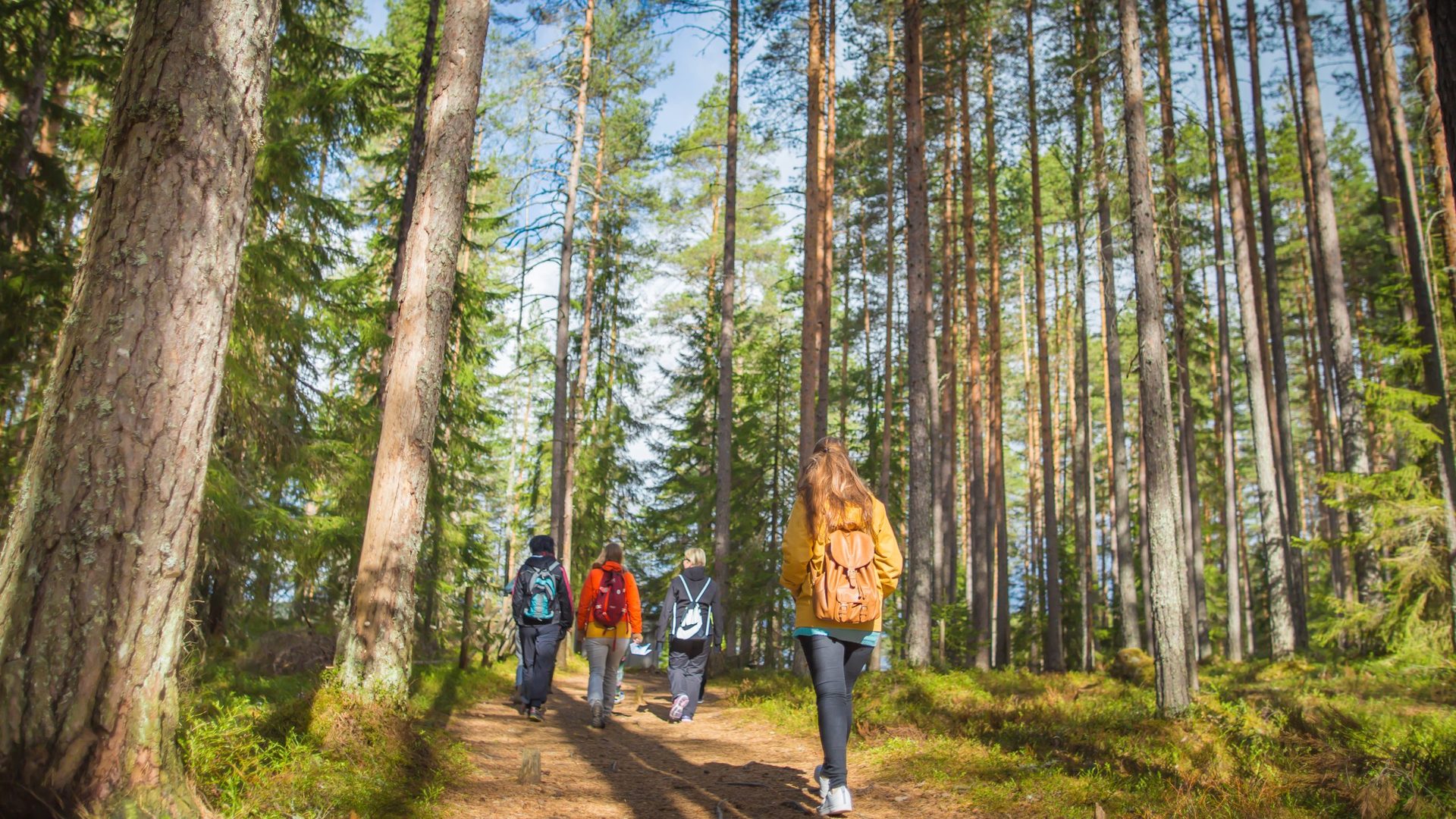 Riuttaskorven virkistysmetsä