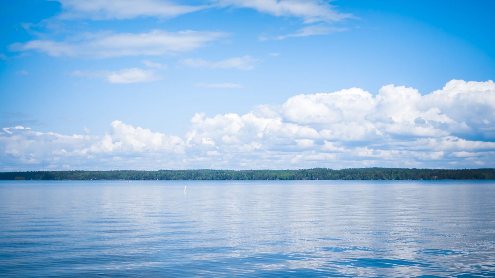 Sarkkilanjärven lintutorni