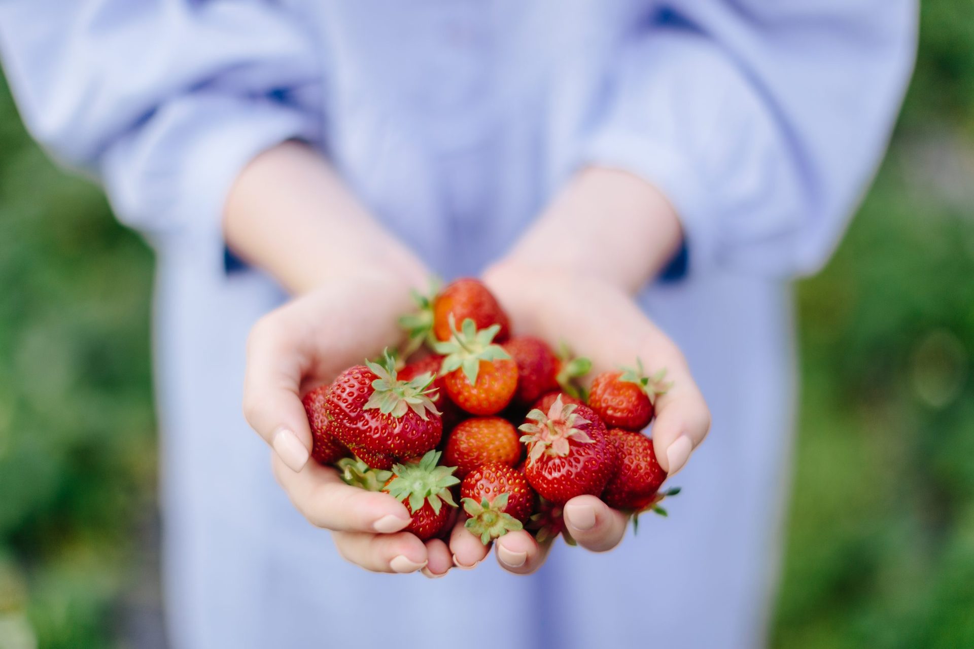 Käenniemen mansikkatila