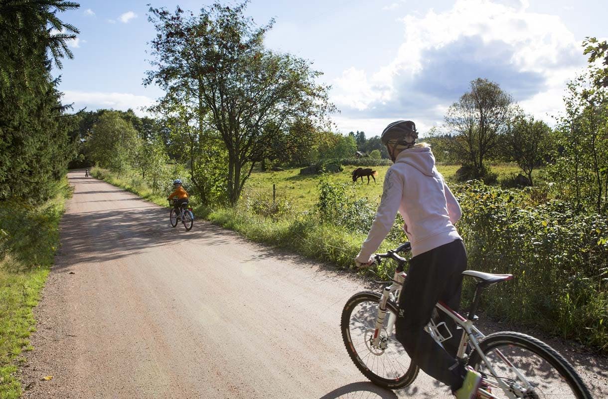 Poimi pyöräilijän parhaat reittivinkit Suomen jokaiseen maakuntaan