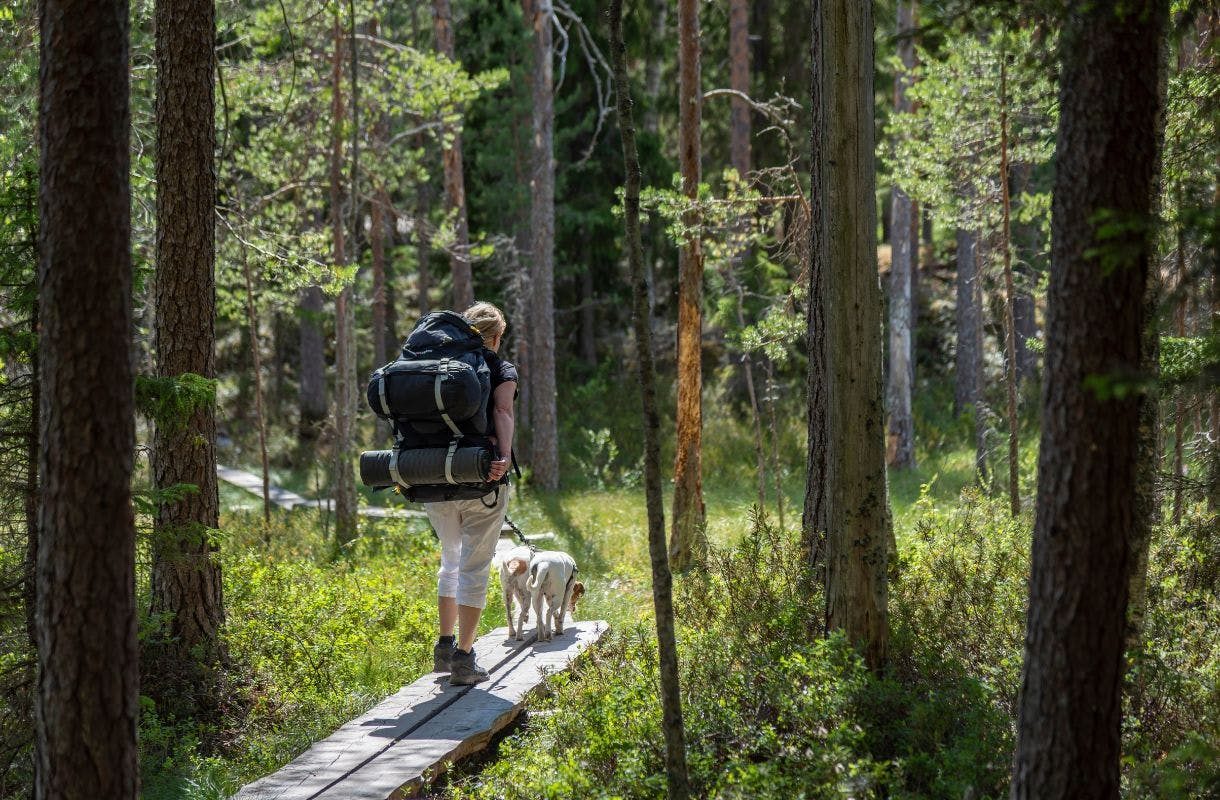 Kuhankuono ­– rauhallista retkeilyä Varsinais-Suomessa