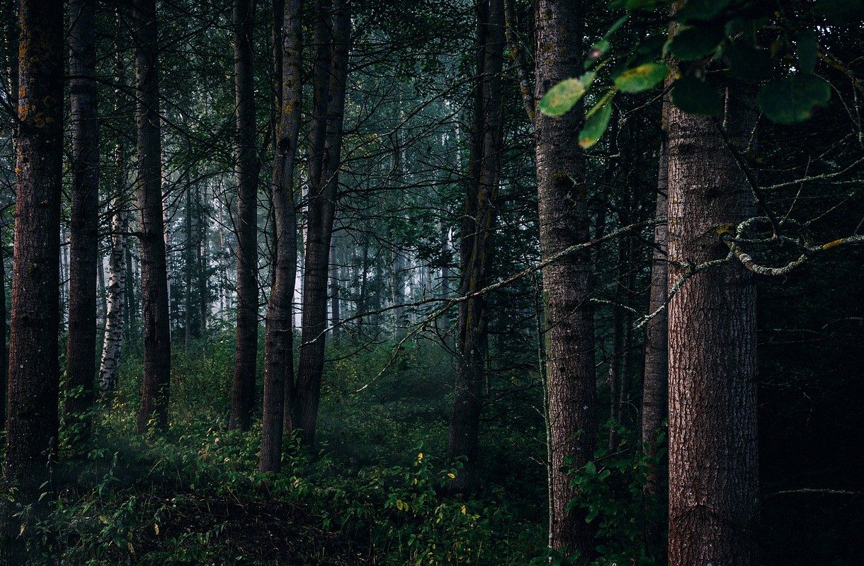 Kotimaa tutuksi – suomalainen muinaiskulttuuri