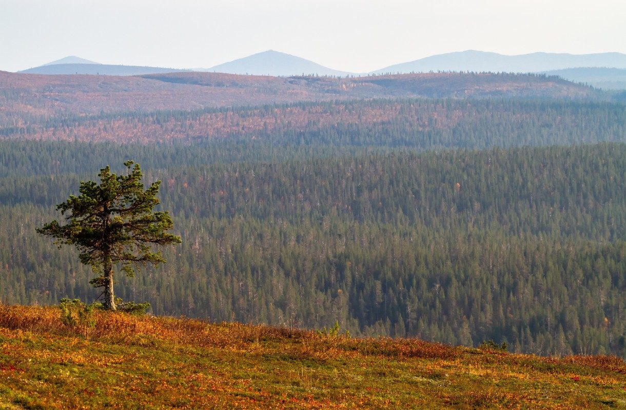 Suomen Lappi – neljä vähemmän vierailtua luontokohdetta